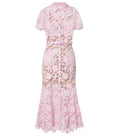 PINK LACE COLLARED MIDI DRESS