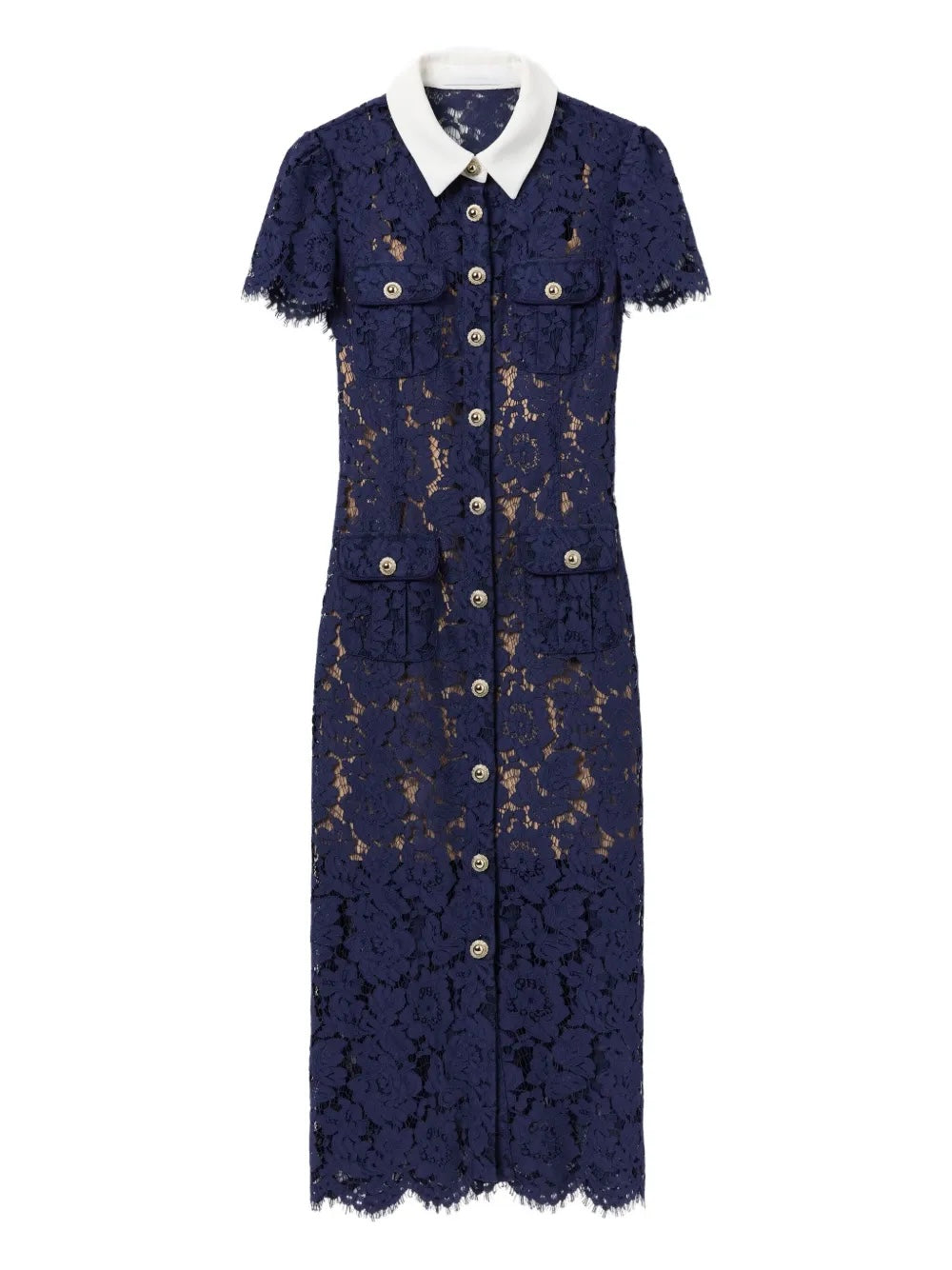 NAVY LACE CONTRAST COLLAR MIDI DRESS